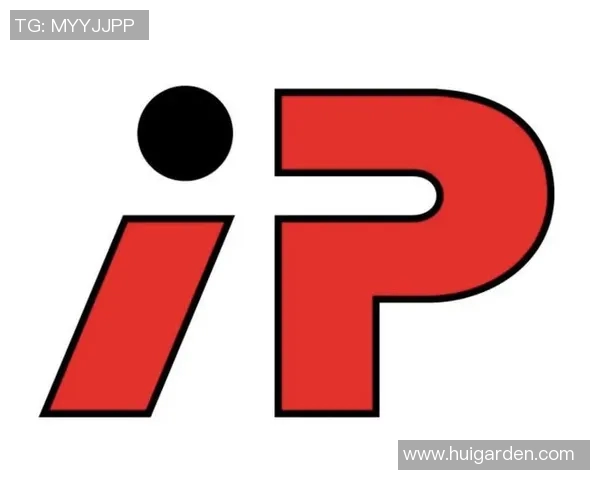 足球明星IP形象的多维度解析与品牌价值提升策略探讨